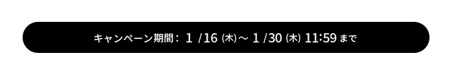 Ly[ԁF1/16()12:00~1/30()11:59܂