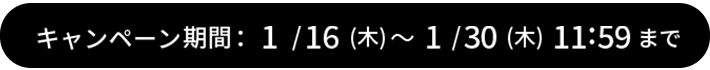 Ly[ԁF1/16()12:00~1/30()11:59܂