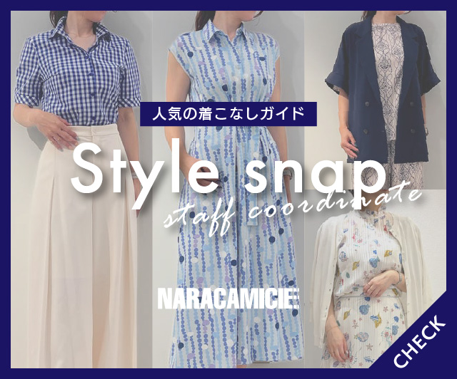 Style snap